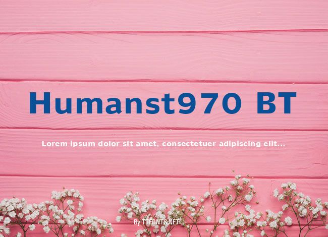 Humanst970 BT example